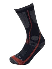 Thermal socks Lorpen T3ST All Season Trekker neutral dark XL