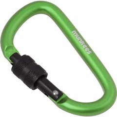 Auxiliary carabiner Munkees D with Screw Lock 8 x 80 mm grass green