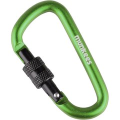 Auxiliary carabiner Munkees D with Screw Lock 6 x 60 grass green