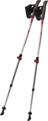 Poles for Nordic walking Tramp Compact, TRR-004
