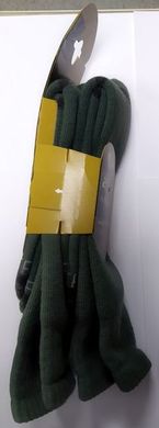 Thermal socks Lorpen H2WN 2 Pack conifer S